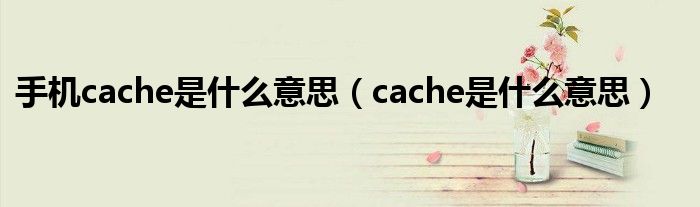 手机cache是什么意思(cache是什么意思)