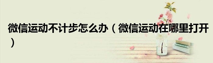 微信运动不计步怎么办(微信运动在哪里打开)