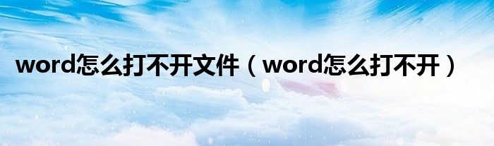 word怎么打不开文件(word怎么打不开)
