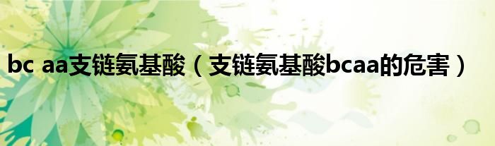 bc aa支链氨基酸（支链氨基酸bcaa的危害）