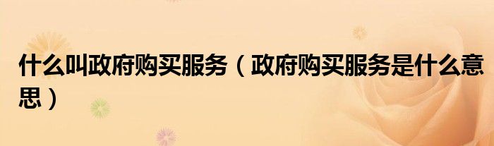 什么叫政府购买服务（政府购买服务是什么意思）