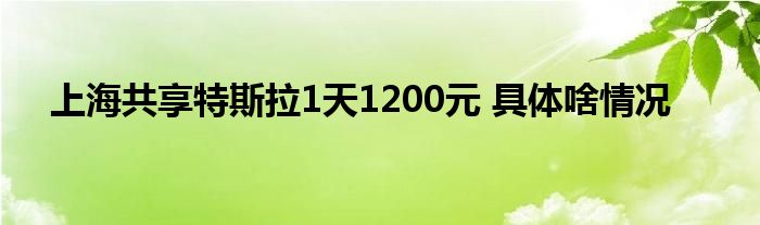 上海共享特斯拉1天1200元 具体啥情况