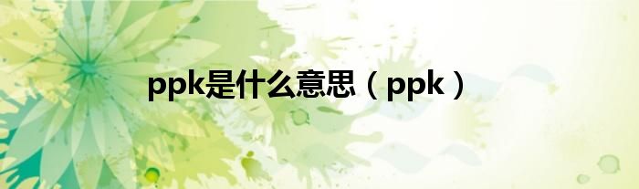 ppk是什么意思（ppk）