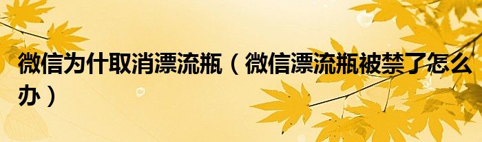 微信为什取消漂流瓶(微信漂流瓶被禁了怎么办)