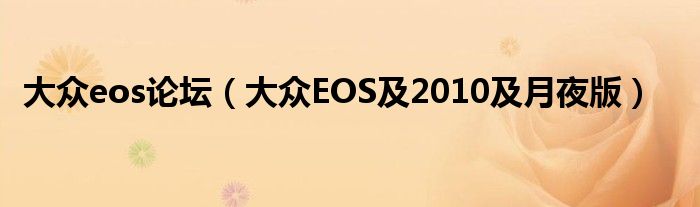 大众eos论坛（大众EOS及2010及月夜版）
