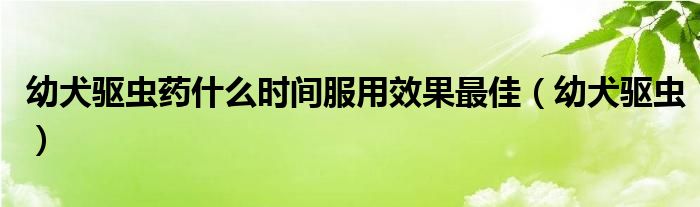 幼犬驱虫药什么时间服用效果最佳(幼犬驱虫)